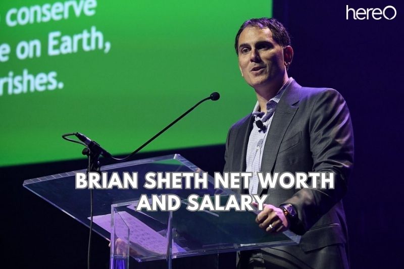 What Is The Net Worth Of Brian Sheth 2023