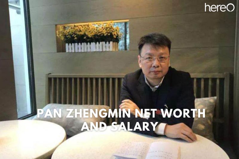 What is Net Worth Of Pan Zhengmin 2023?