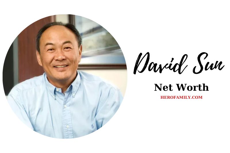 What is David Sun Net Worth 2023 Bio, Age, Family, And More